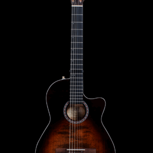 Arena Pro CW Bourbon Burst Dual Source EQ